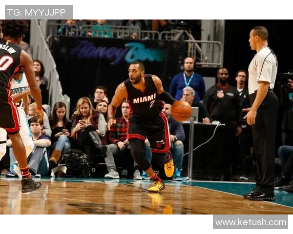 2016年2月6日热火对阵黄蜂精彩回放全场亮点分析与赛后点评 2016年2月6日热火对阵黄蜂精彩回放全场亮点分析与赛后点评