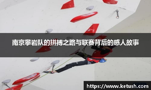 狗万体育